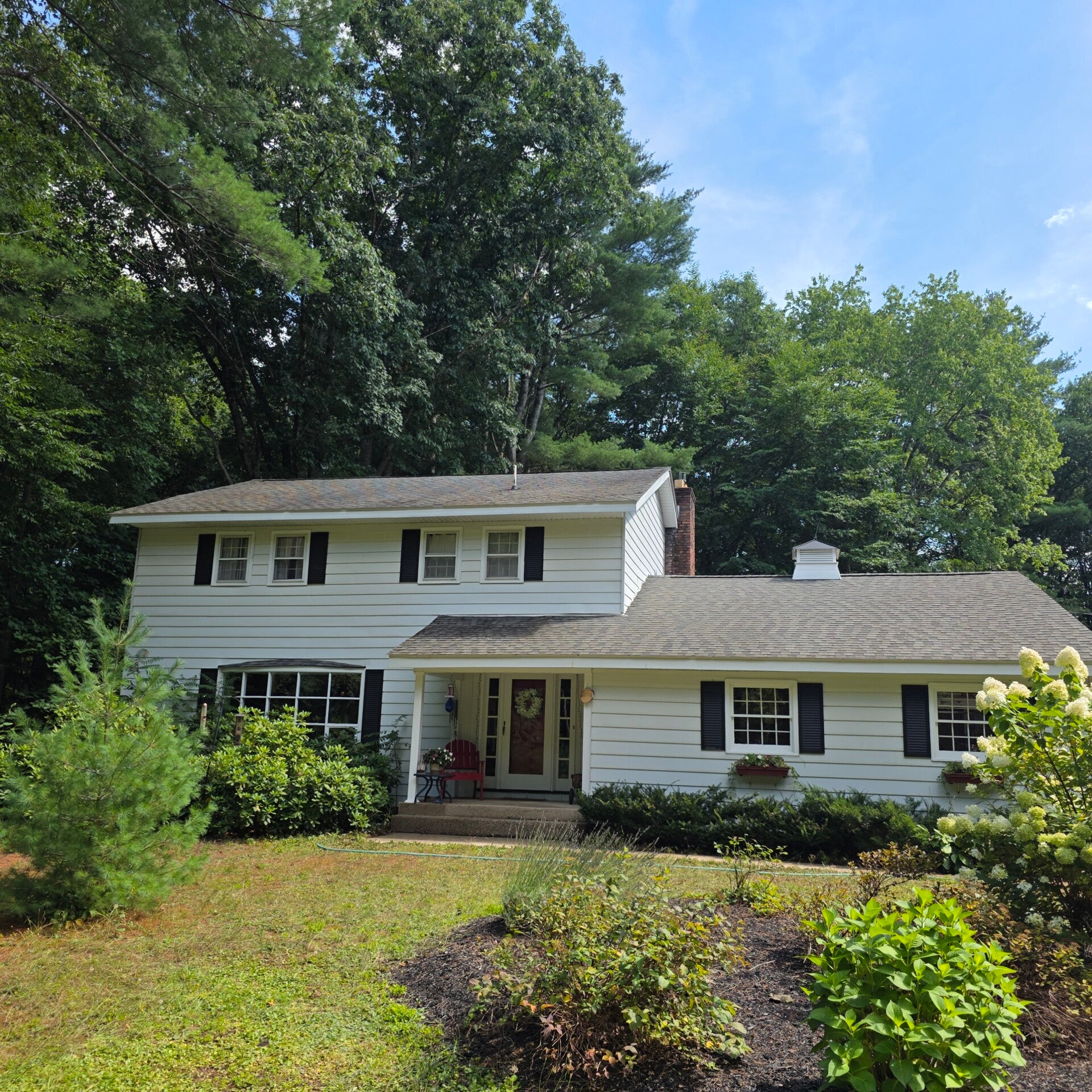 After mold and moss removal in Rome NY